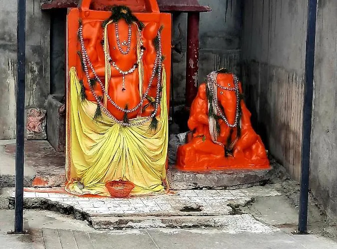 Anand Kanan